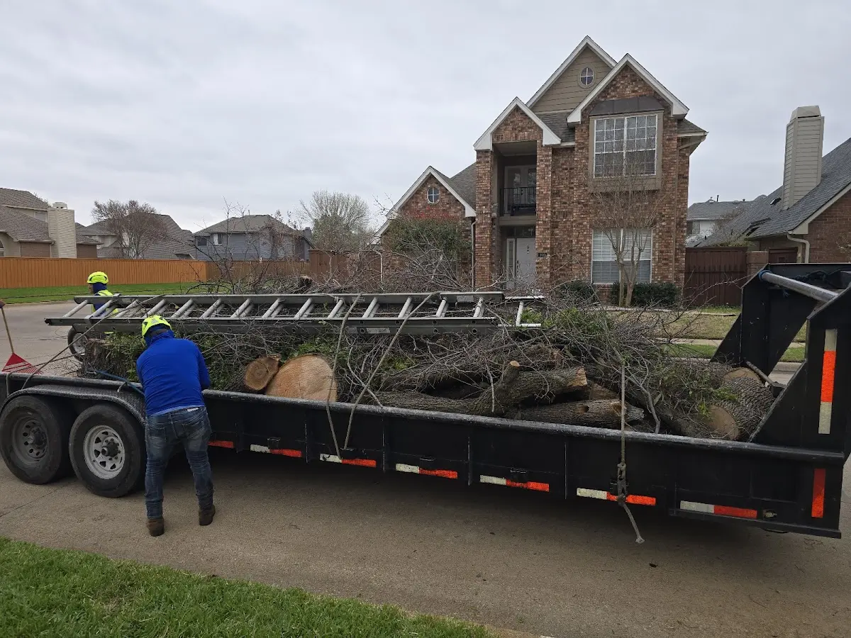 Expert Tree Fertilization with proper safety equipment in Jordan Valley